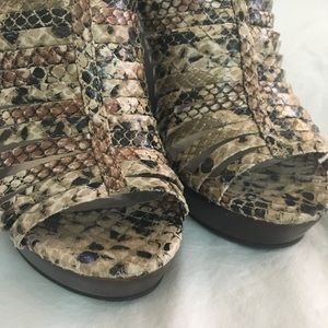 Steve Madden 🐍 Titaan Snake Print Platform Wedges